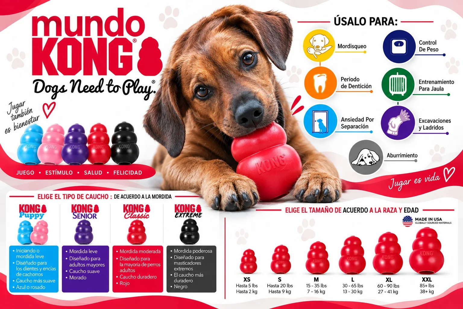 Mundo KONG: guía visual de juguetes para mordisqueo, dentición, ansiedad por separación, control de peso, entrenamiento, excavaciones, ladridos y aburrimiento; incluye tipos de caucho Puppy, Senior, Classic y Extreme, y tamaños desde XS hasta XXL.